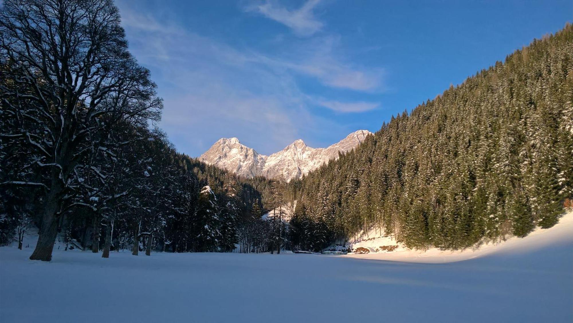 Alpenrose Boutique Chalet Gretl رامساو أم داتشستين المظهر الخارجي الصورة