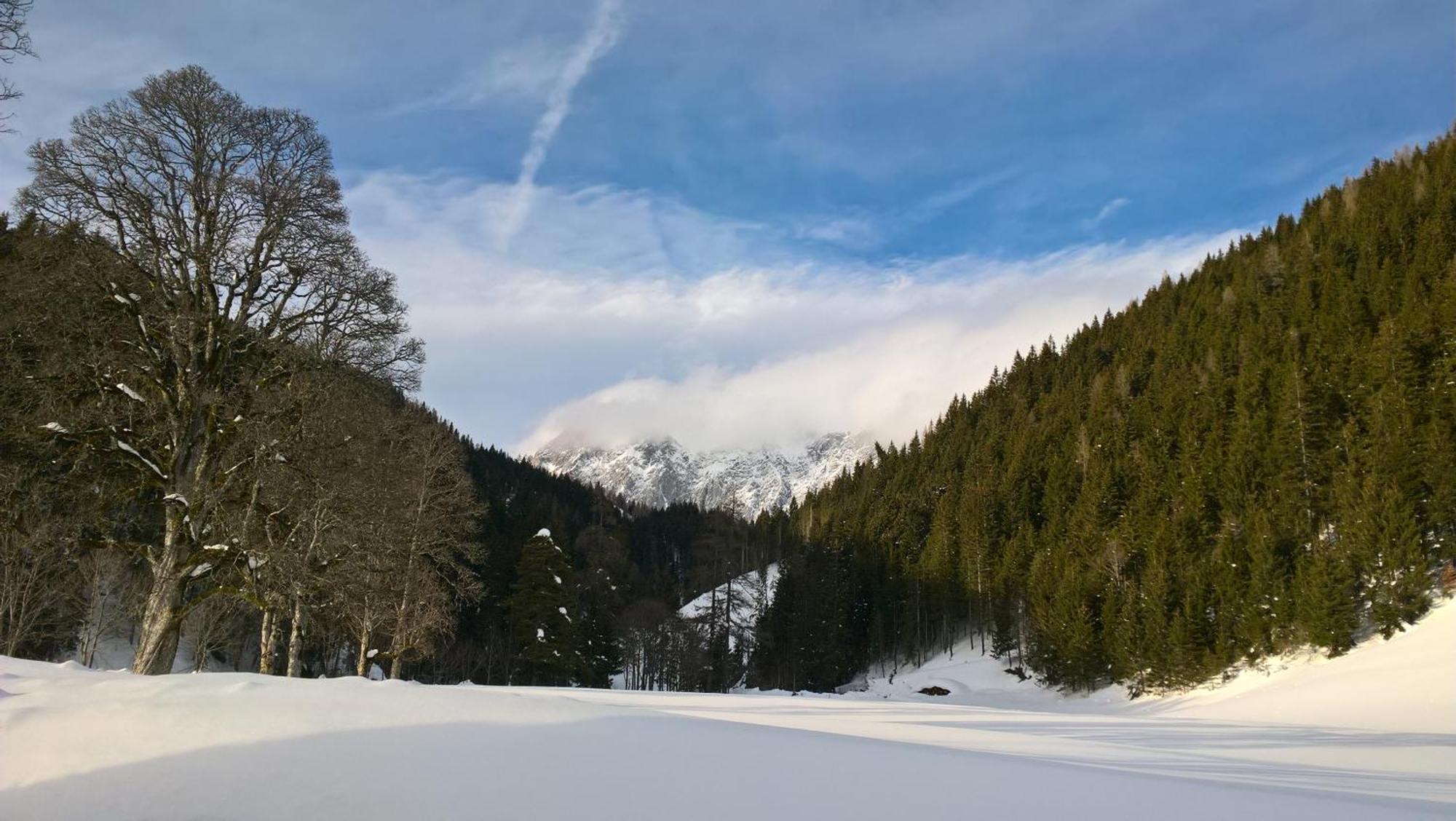 Alpenrose Boutique Chalet Gretl رامساو أم داتشستين المظهر الخارجي الصورة