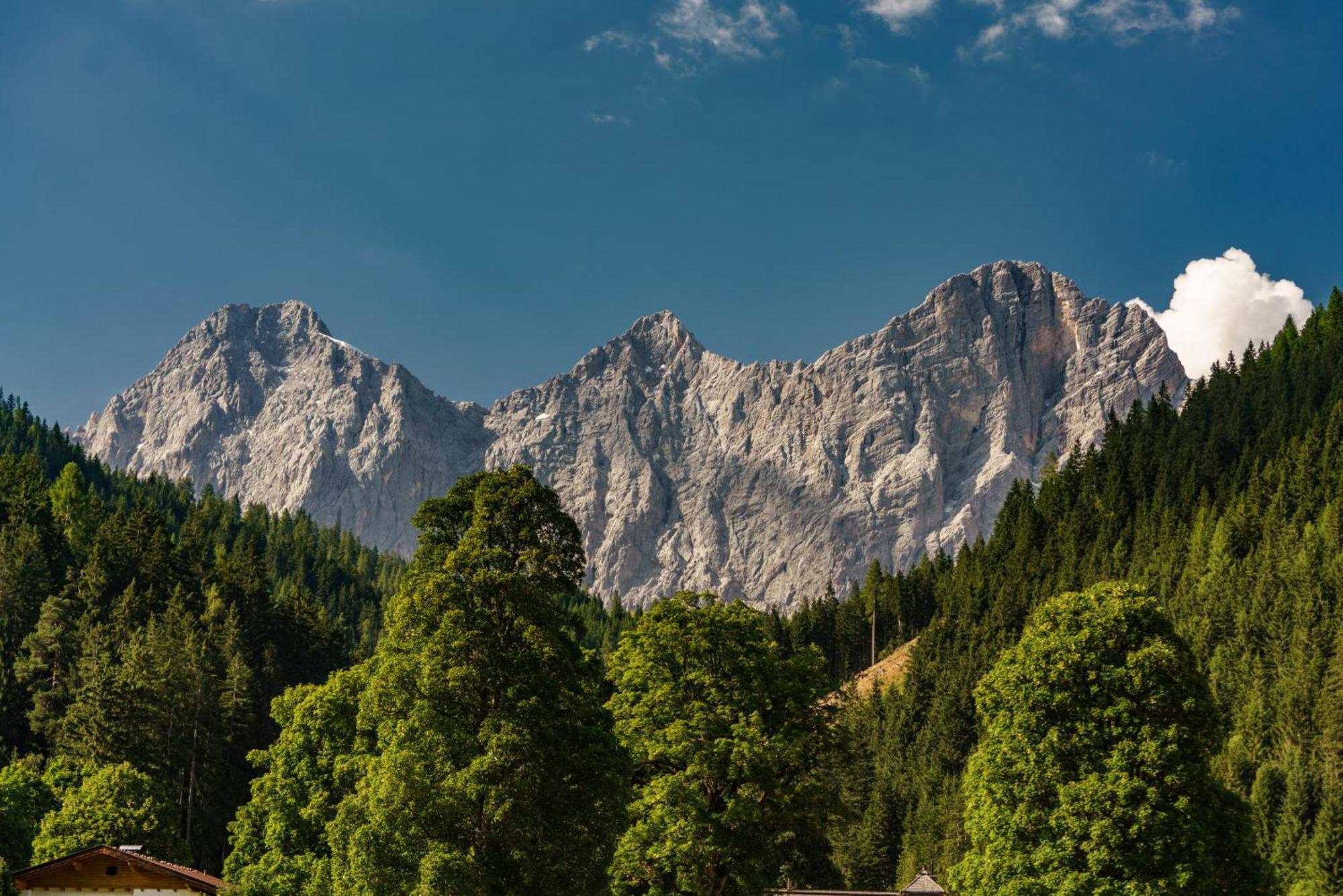 Alpenrose Boutique Chalet Gretl رامساو أم داتشستين المظهر الخارجي الصورة
