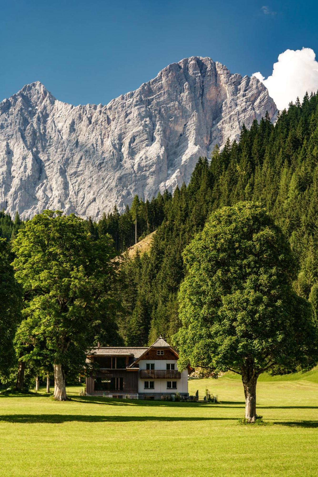 Alpenrose Boutique Chalet Gretl رامساو أم داتشستين المظهر الخارجي الصورة