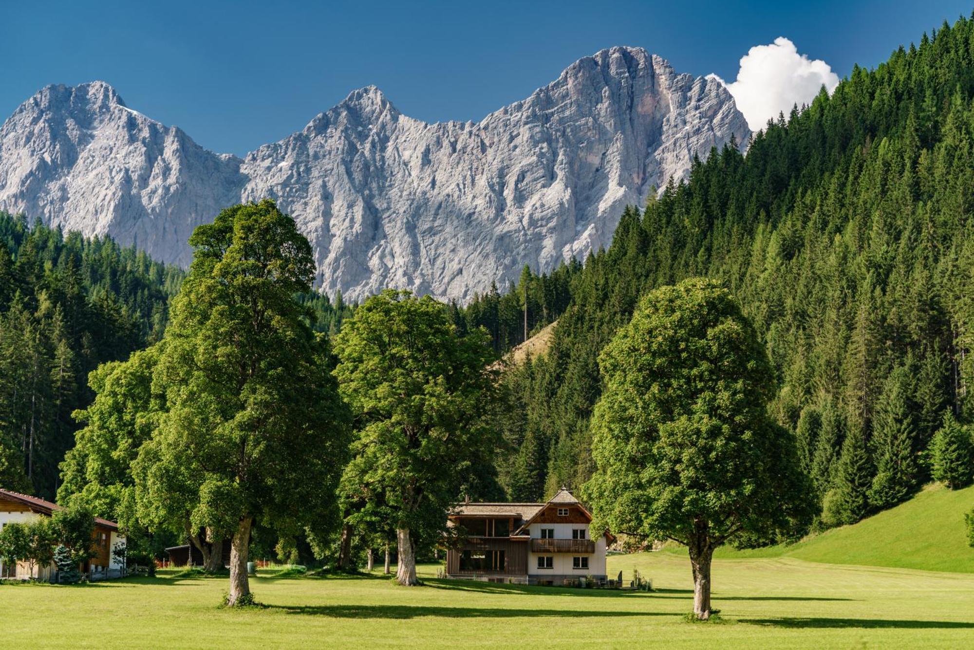 Alpenrose Boutique Chalet Gretl رامساو أم داتشستين المظهر الخارجي الصورة